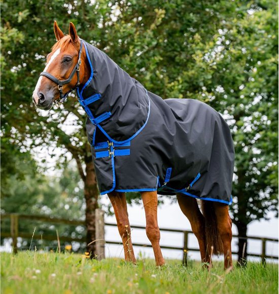 Cheval brun portant une couverture noire avec des bordures bleues et une capuche, debout dans une prairie.