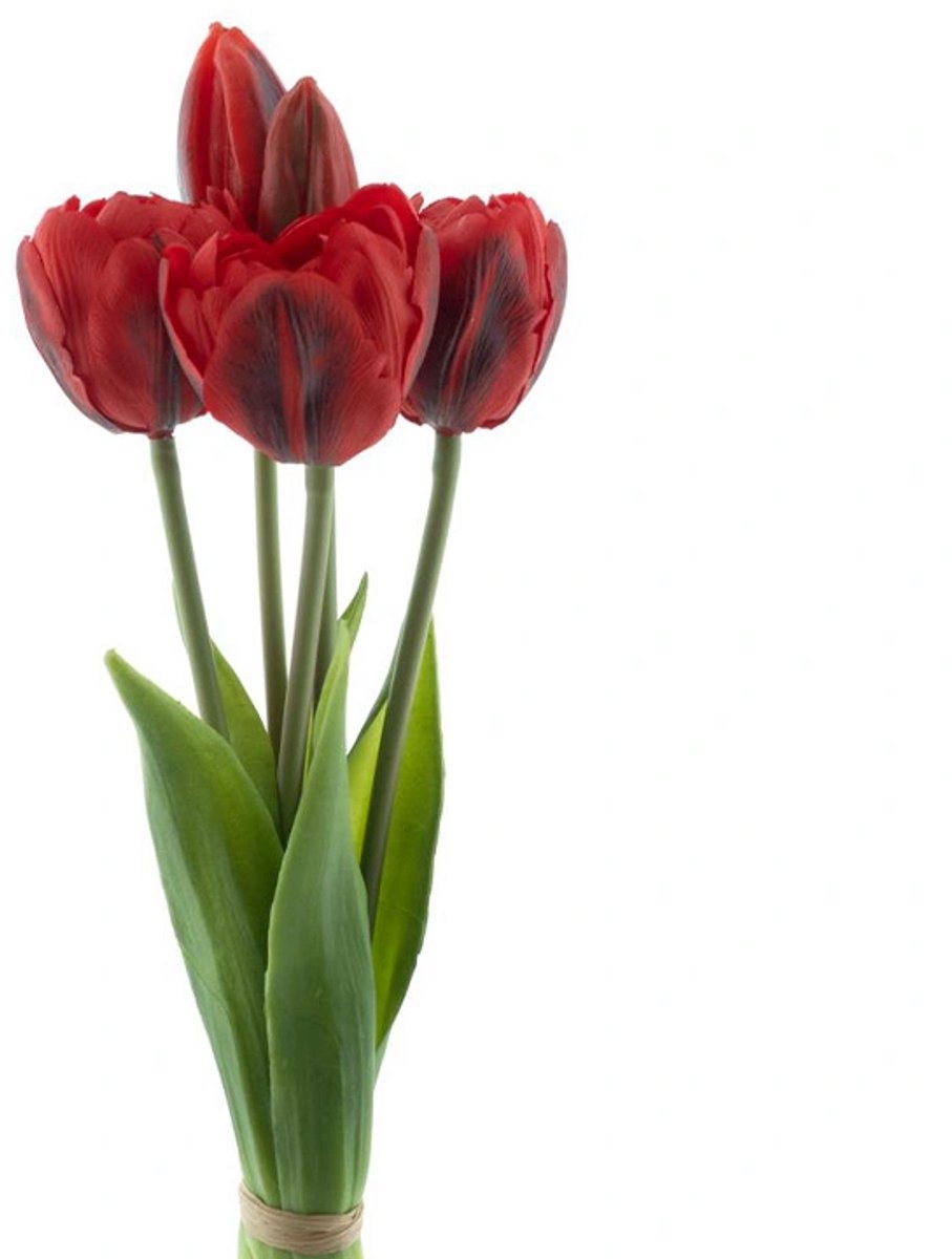 Erutan avon PSO Triumph tulip bundle Sally x5 red 29 cm onbekend