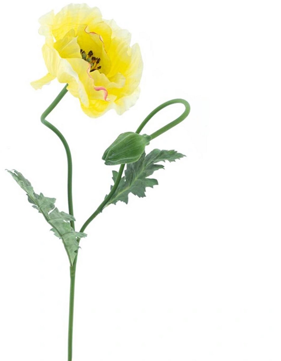 Erutan avon - Poppy spray Casper yellow 73 cm