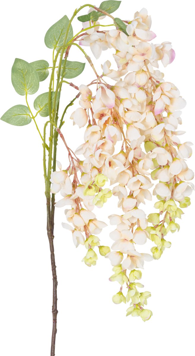 Easyplants | Kunstbloem Wisteria 100 cm crème | Zijde | Nepbloemen | crème | Onderhoudsvrij | Kant-en-klaar