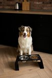 Australische herder zit voor een dubbele voerbak op een verhoogd zwart station met hondenvoer.