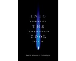 Omslag van Into The Cool