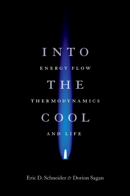 Into The Cool - cover