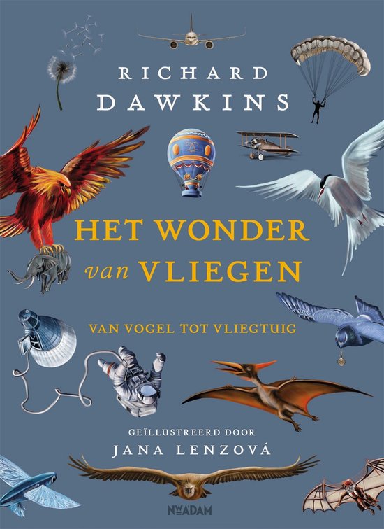 Het wonder van vliegen - cover
