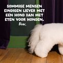 Afbeelding nummer  13