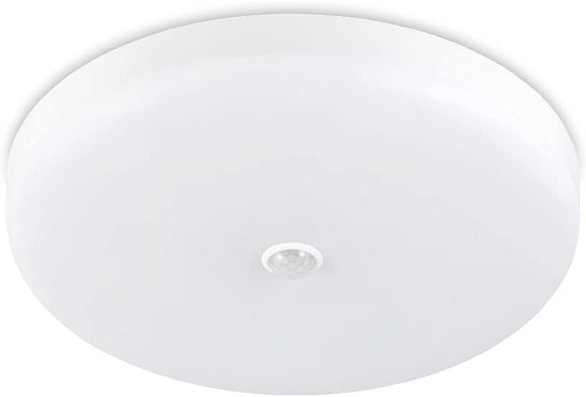 Plafondlamp met Bewegingsmelder en Schemersensor voor Binnen en Buiten - 30W IP44