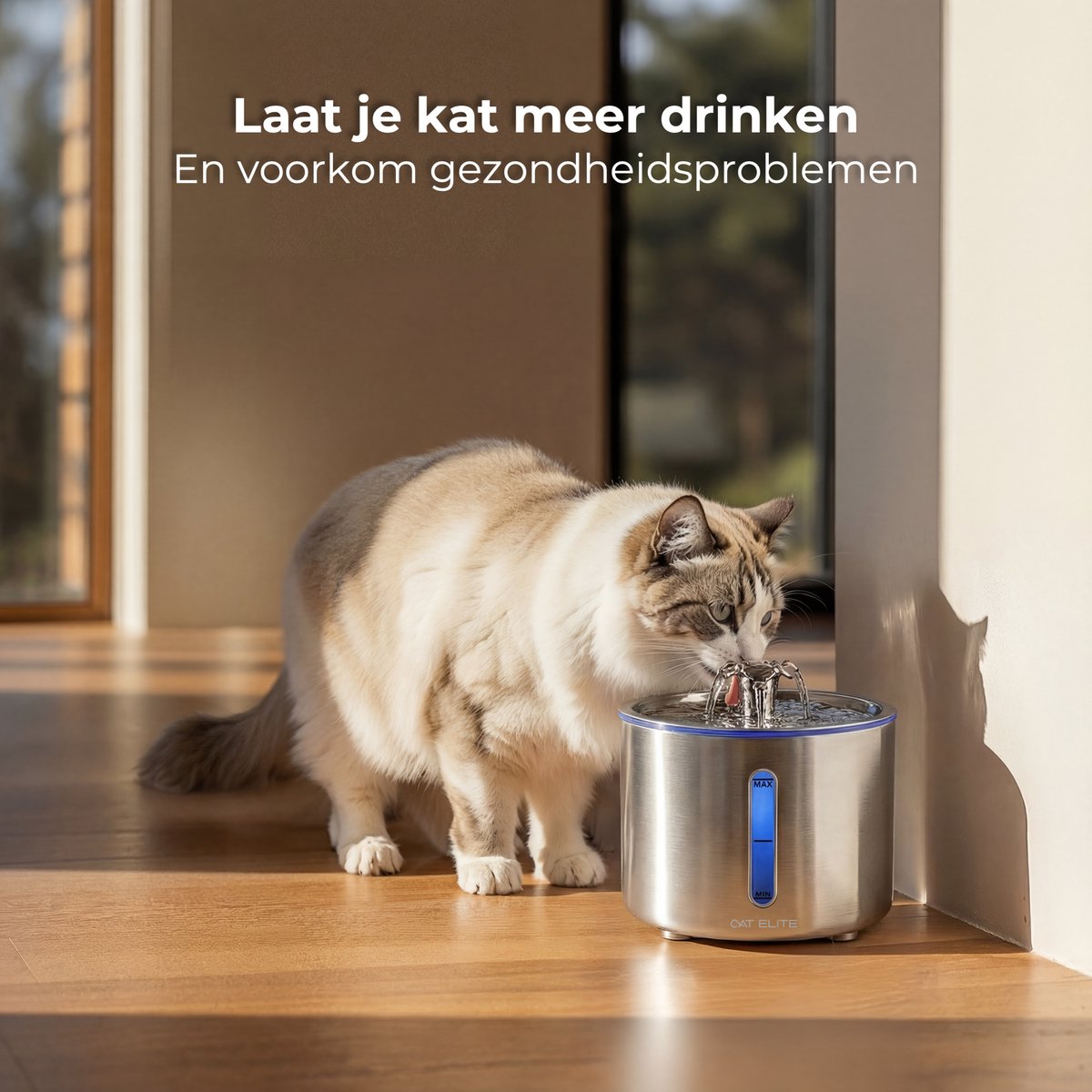 CatElite® - RVS Drinkfontein Kat | Mist - Waterdispenser incl. 3 filters - 2.5L Waterfontein Kat - Kattenfontein - Fluisterstil thumbnail 6