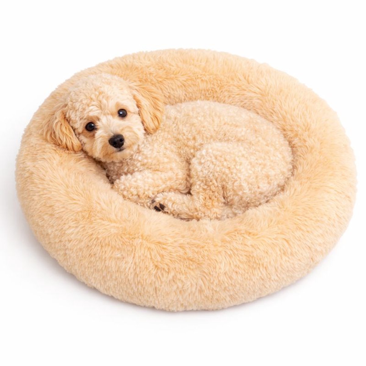 Dailyibed hondenmand - donut - hondenkussen - hondenbed - L - 60x60x16 cm - Beige