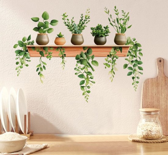 Étagère en bois avec plantes vertes en pots, verdure suspendue, sur un mur clair.