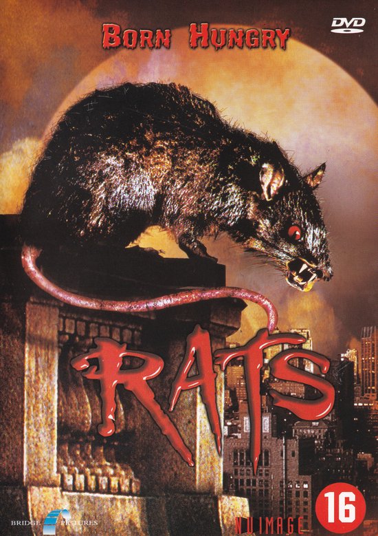 Rats