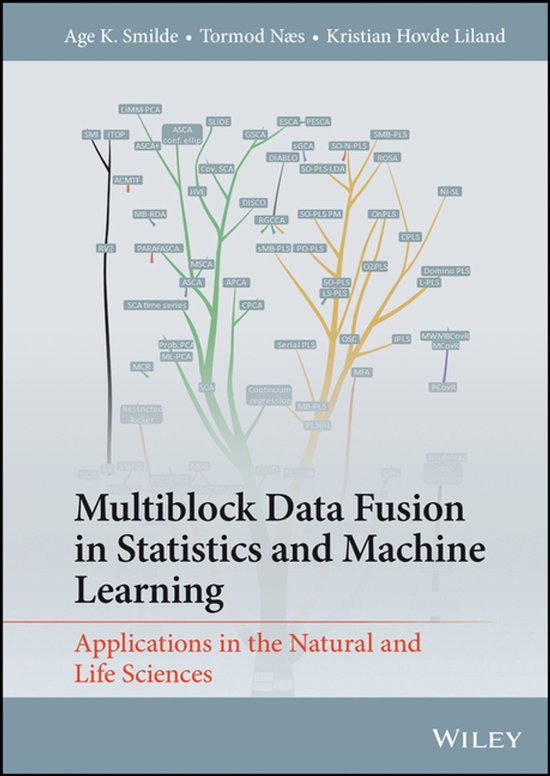 Multiblock Data Fusion in Statistics and Machine Learning - cover
