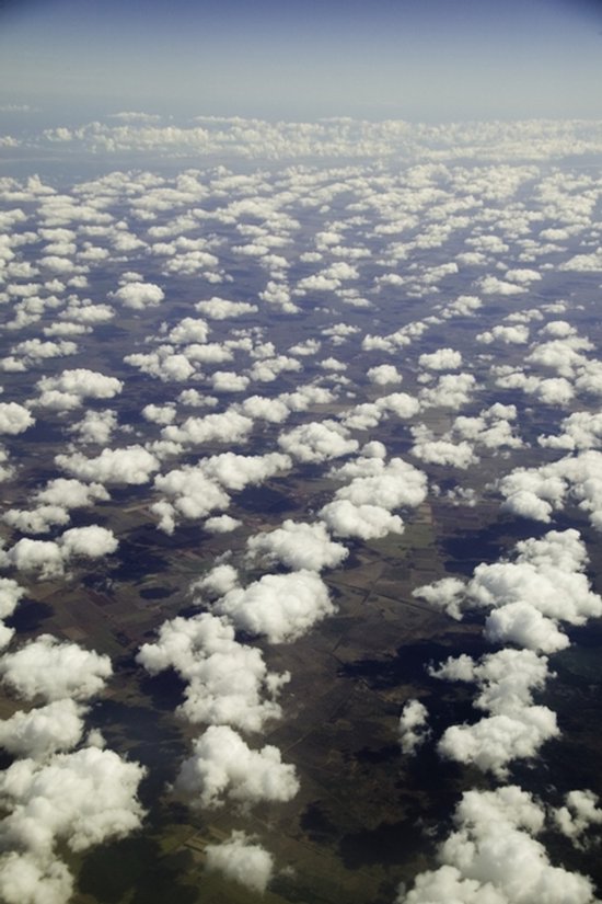 Why Saw Sawdust? - cover