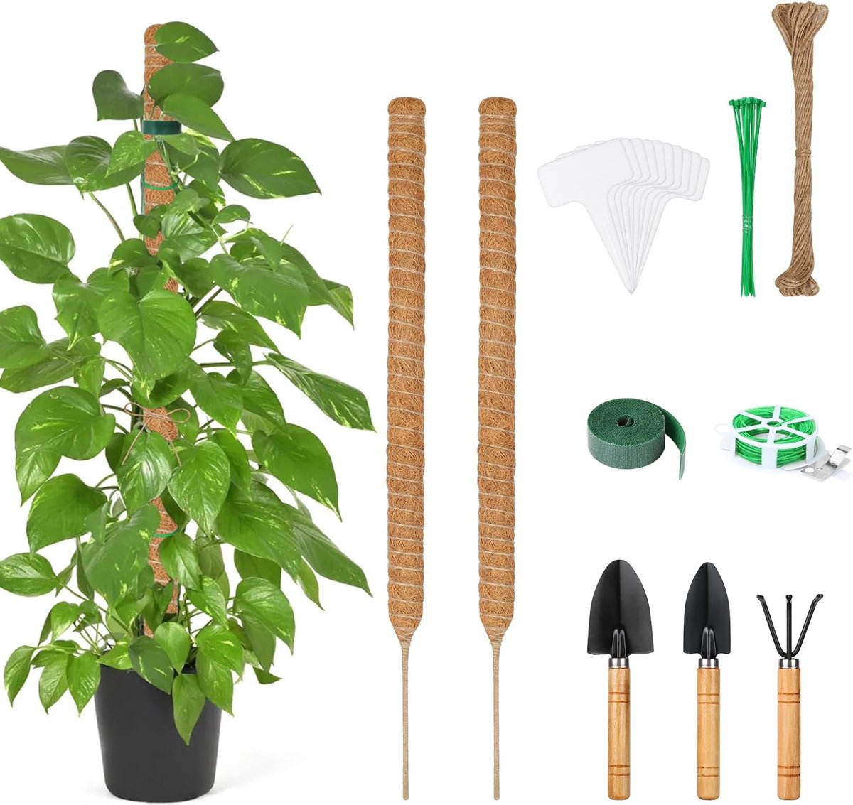 Famanu – Opvouwbare mosstokken voor planten, set van 4 kokosvezel plantenstokken van 70 cm met bindmateriaal