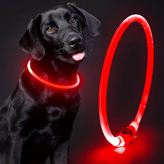 Professor Q Bande LED pour Chiens et Chats - Large 70 cm - Rouge - Bande de Sécurité Rechargeable par USB - Réglable et Découpable, 3 Modes d'Éclairage - Pour les Promenades Nocturnes - Collier Léger - 1 Pièce