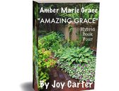 Hybrid Chronology Series 4 - Amazing Grace