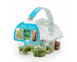 Moerings Drijfplanten | In Sixpack