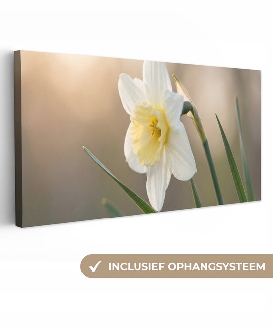 Canvas schilderij 100x50 cm - Exclusieve wanddecoratie Narcis - Bloem - Minimalistisch - Muurdecoratie woonkamer - Slaapkamer decoratie - Kamer accessoires - Schilderijen op canvas