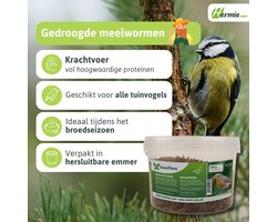Famiflora gedroogde meelwormen 450 g = ± 2,7L in hersluitbare emmer - voor tuinvogels - Rijk aan eiwitten die essentieel zijn voor gezonde groei van tuinvogels