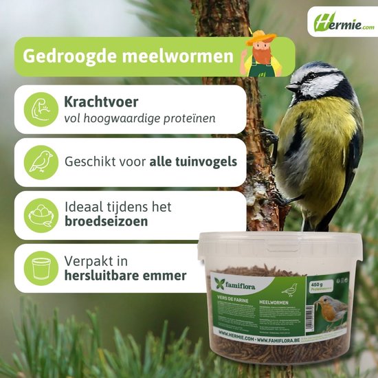 Famiflora gedroogde meelwormen 450 g = ± 2,7L in hersluitbare emmer - voor tuinvogels - Rijk aan eiwitten die essentieel zijn voor gezonde groei van tuinvogels