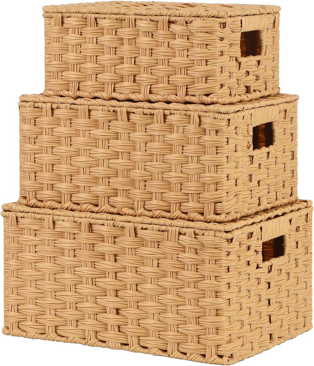 Opbergbak Met Deksel - Opbergdoos - Opbergbox - huishouddoos