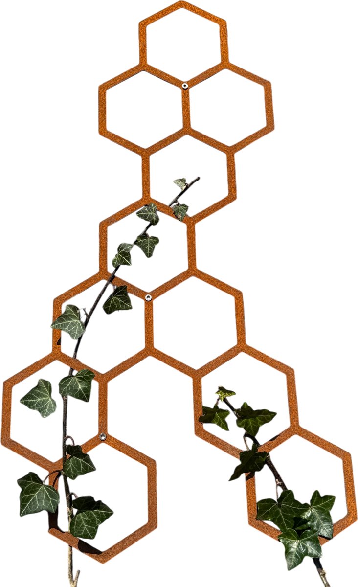 Klimplantrek HIVE - CORTENSTAAL - Buiten - Klimop - Muurmontage