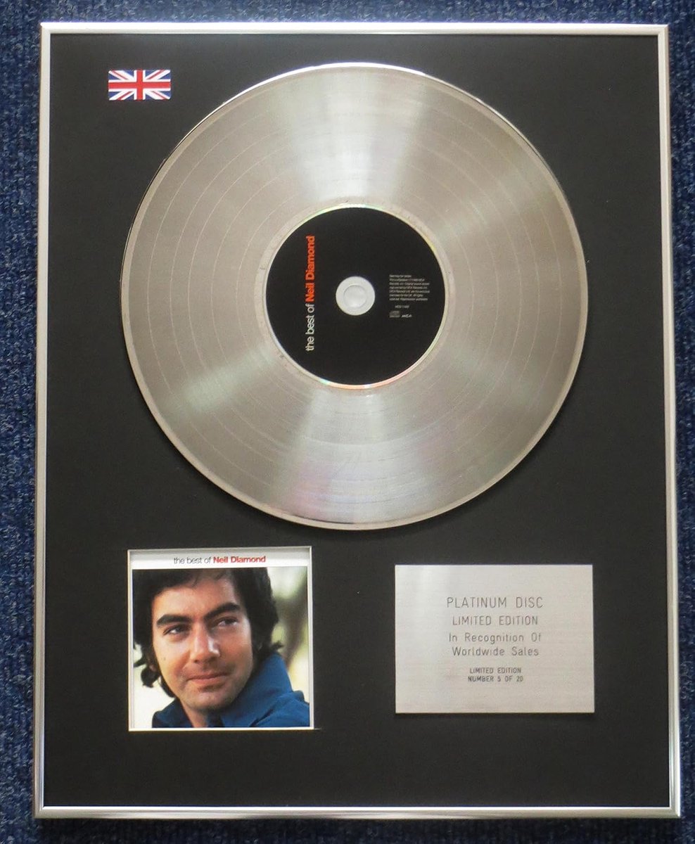 Muziek Memorabilia - Platinum LP Disc - Wanddecoratie - Limited Edition - 406 x 508 mm - Zwart