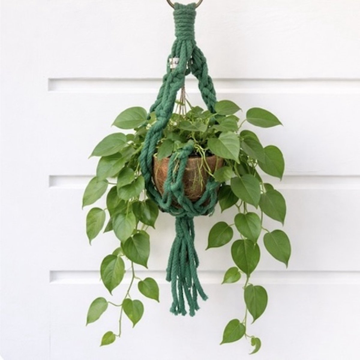 Luna-Leena duurzame macramé mini plantenhanger van katoen - groen - handgemaakt in Nepal - decoratie - L36cm - hanging basket - plant hanger - moederdag