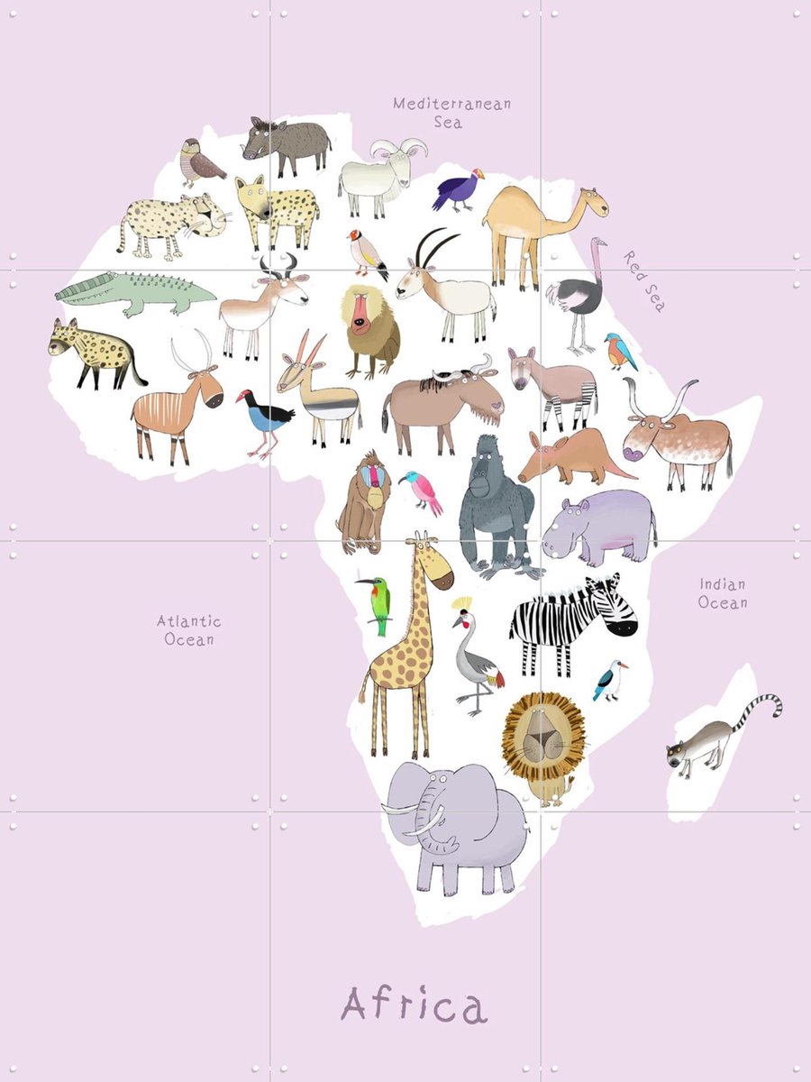 IXXI Africa - Pink, Carla Daly - 60 x 80 cm - Gratis ophangtool - Grote wanddecoratie en posters - Illustraties, Kleurrijk, Cartoonesk, Speels