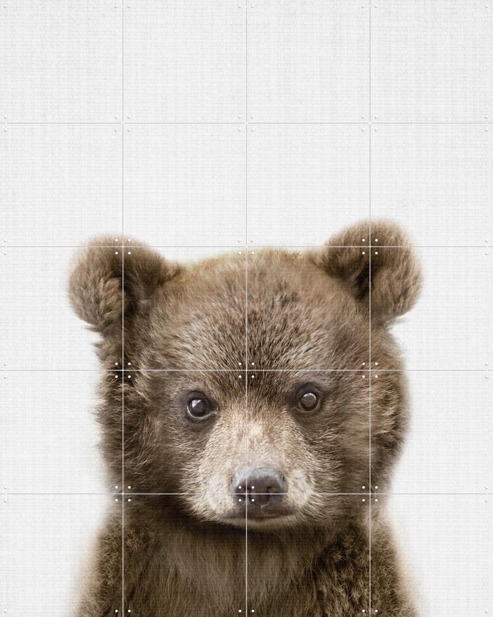 IXXI Print 353 Bear, Lila + Lola - 80 x 100 cm - Gratis ophangtool - Grote wanddecoratie en posters - Realisme, Fotografie, Babykamer, Woonkamer