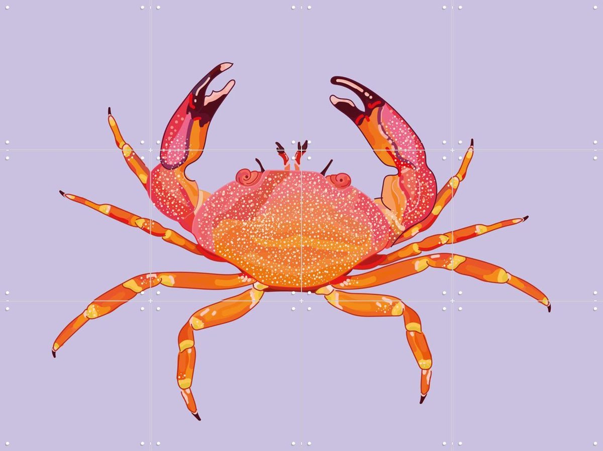 IXXI Sao, Lotte Snoek - 80 x 60 cm - Gratis ophangtool - Grote wanddecoratie en posters - Kleurrijk, Grafisch Ontwerp, Digitale Kunst, Illustraties