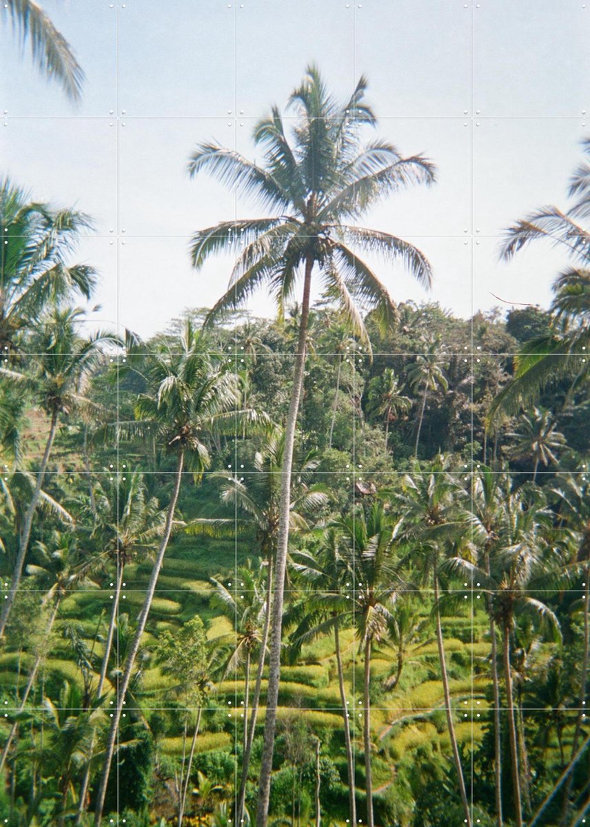 IXXI Ubud Ricefield Terrace, We Like Bali - 100 x 140 cm - Gratis ophangtool - Grote wanddecoratie en posters - Naturalisme, Kleurrijk, Fotografie