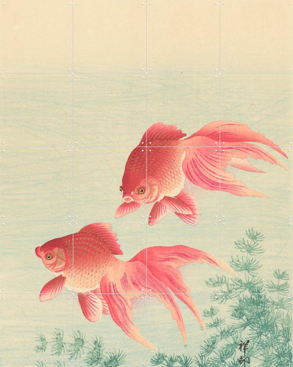IXXI Twee goudvissen, Ohara Koson & Rijksmuseum - 80 x 100 cm - Gratis ophangtool - Grote wanddecoratie en posters - Houtsnede, Kleurrijk, Ukiyo-e