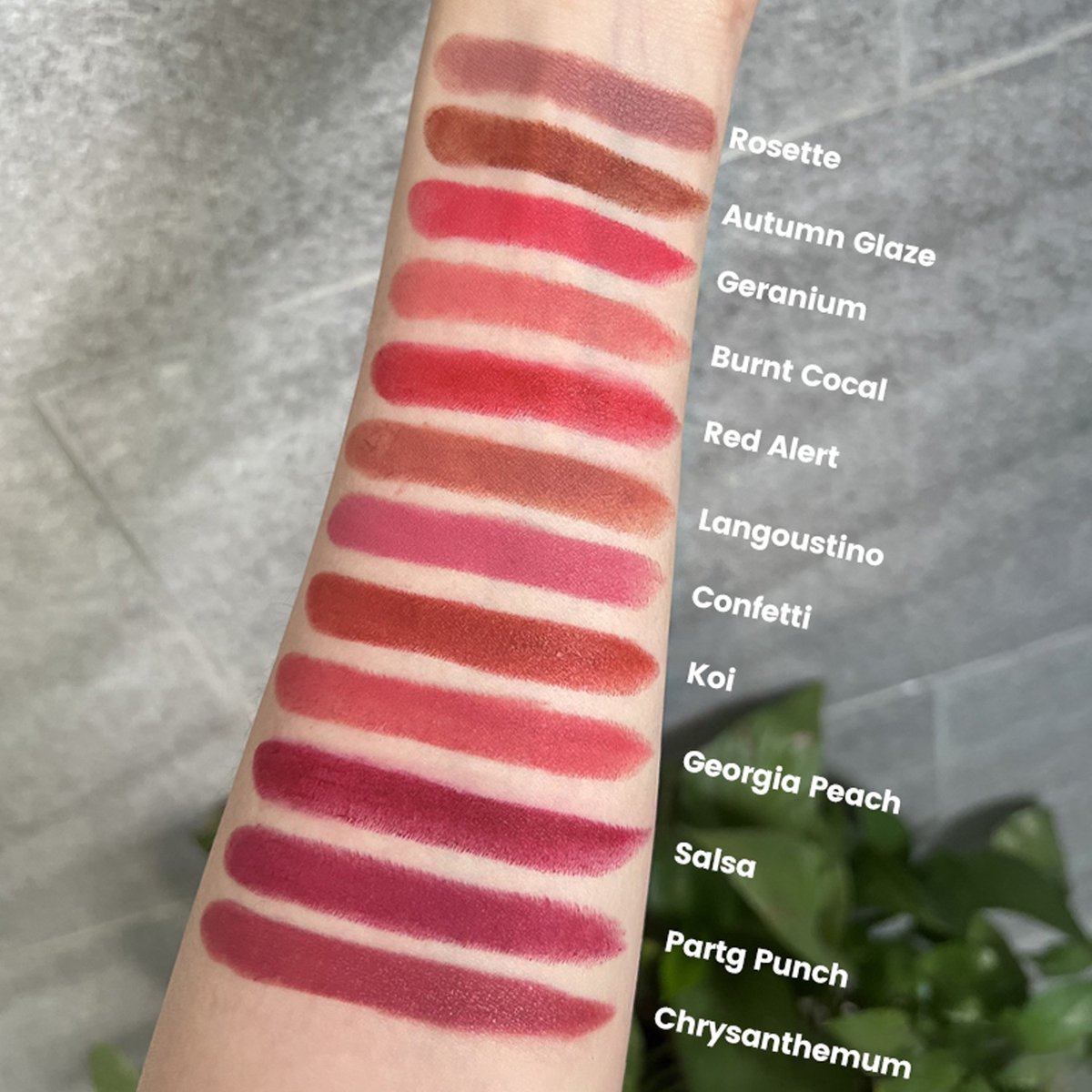 Long Lasting Lipstick up – Matte Finish – High Pigment – Non-Transfer – Vegan – Lina Beauty