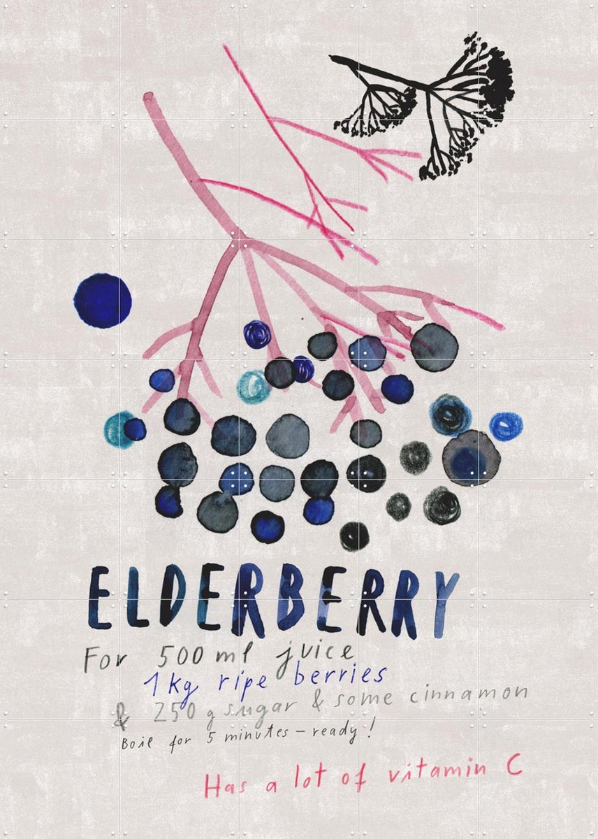 IXXI Elderberry, Signorinah - 100 x 140 cm - Gratis ophangtool - Grote wanddecoratie en posters - Illustraties, Aquarel, Speels, Keuken, Eetkamer