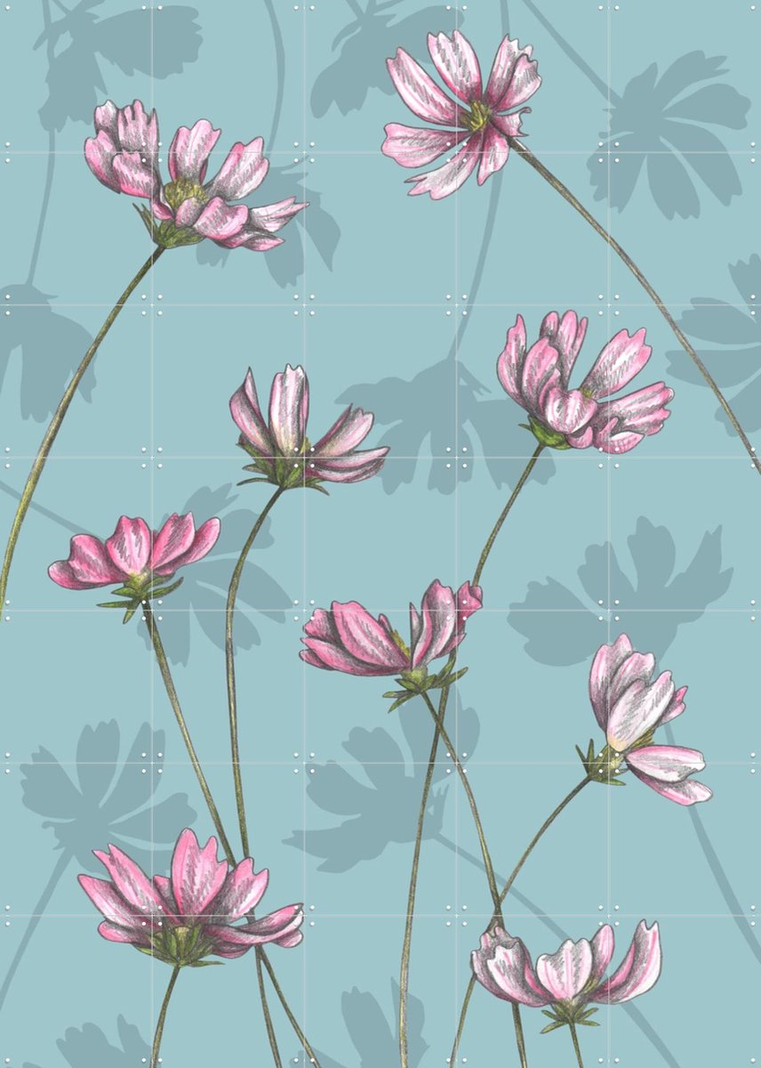 IXXI Cosmos, Cecilia Battaini - 100 x 140 cm - Gratis ophangtool - Grote wanddecoratie en posters - Naturalisme, Illustraties, Eetkamer, Slaapkamer