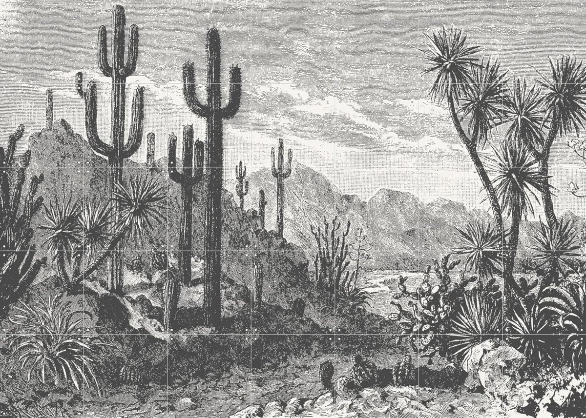 IXXI Cactuses in Mountains, Aster Edition - 140 x 100 cm - Gratis ophangtool - Grote wanddecoratie en posters Bergen, Natuur, Landschappen