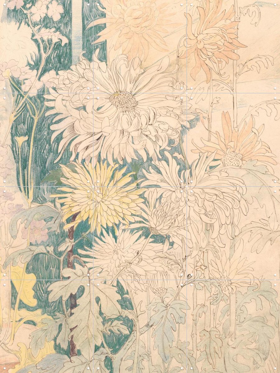 IXXI Chrysanten, Aster Edition - 60 x 80 cm - Gratis ophangtool - Grote wanddecoratie en posters - Vintage, Bloemen