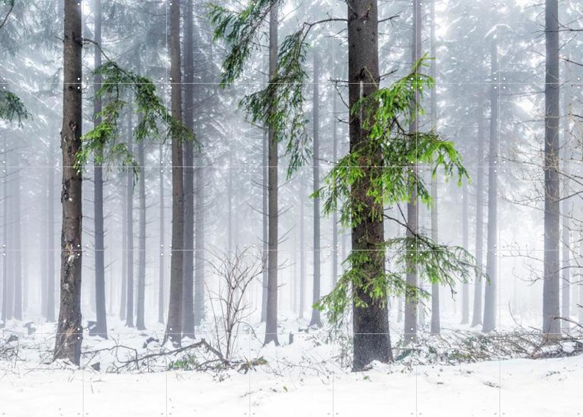IXXI Panoramic Snow Forest, Jan Becke - 140 x 100 cm - Gratis ophangtool - Grote wanddecoratie en posters - Fotografie, Landschappen