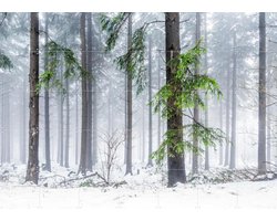IXXI Panoramic Snow Forest, Jan Becke - 140 x 100 cm - Gratis ophangtool - Grote wanddecoratie en posters - Fotografie, Landschappen