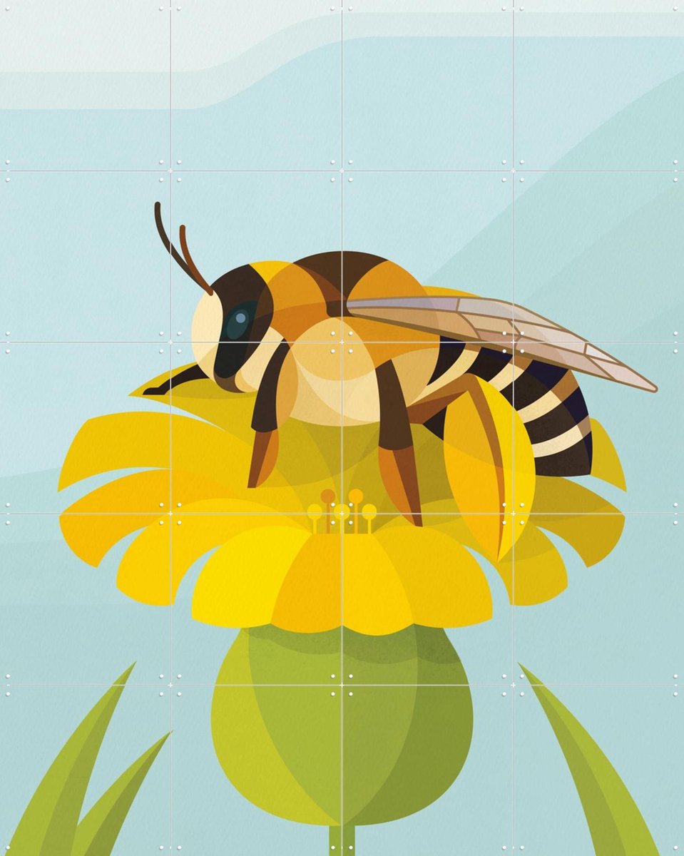 IXXI Pluimvoetbij, Elke Uijtewaal - 80 x 100 cm - Gratis ophangtool - Grote wanddecoratie en posters - Illustraties, Kleurrijk, Grafisch Ontwerp,