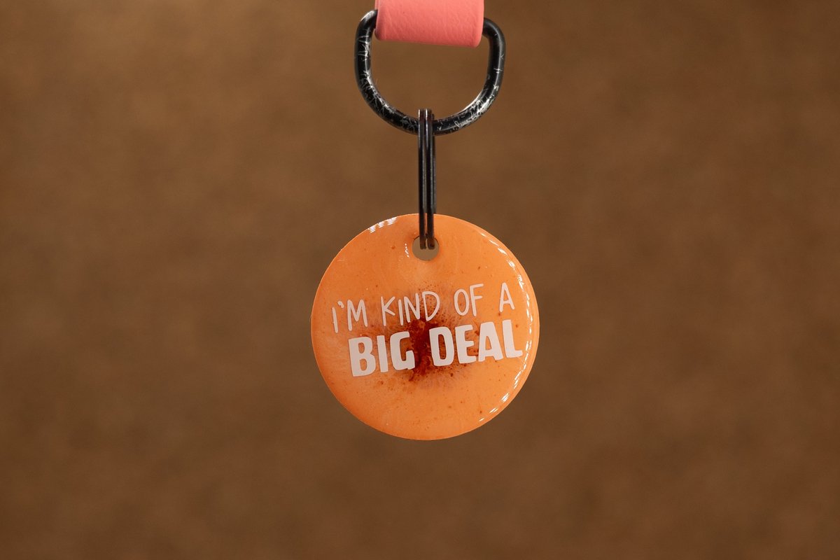 Crackerjack hondenpenning - Fun tag - I’m kind of a big deal - slijtvast - moddervast - uniek - leuk als cadeau