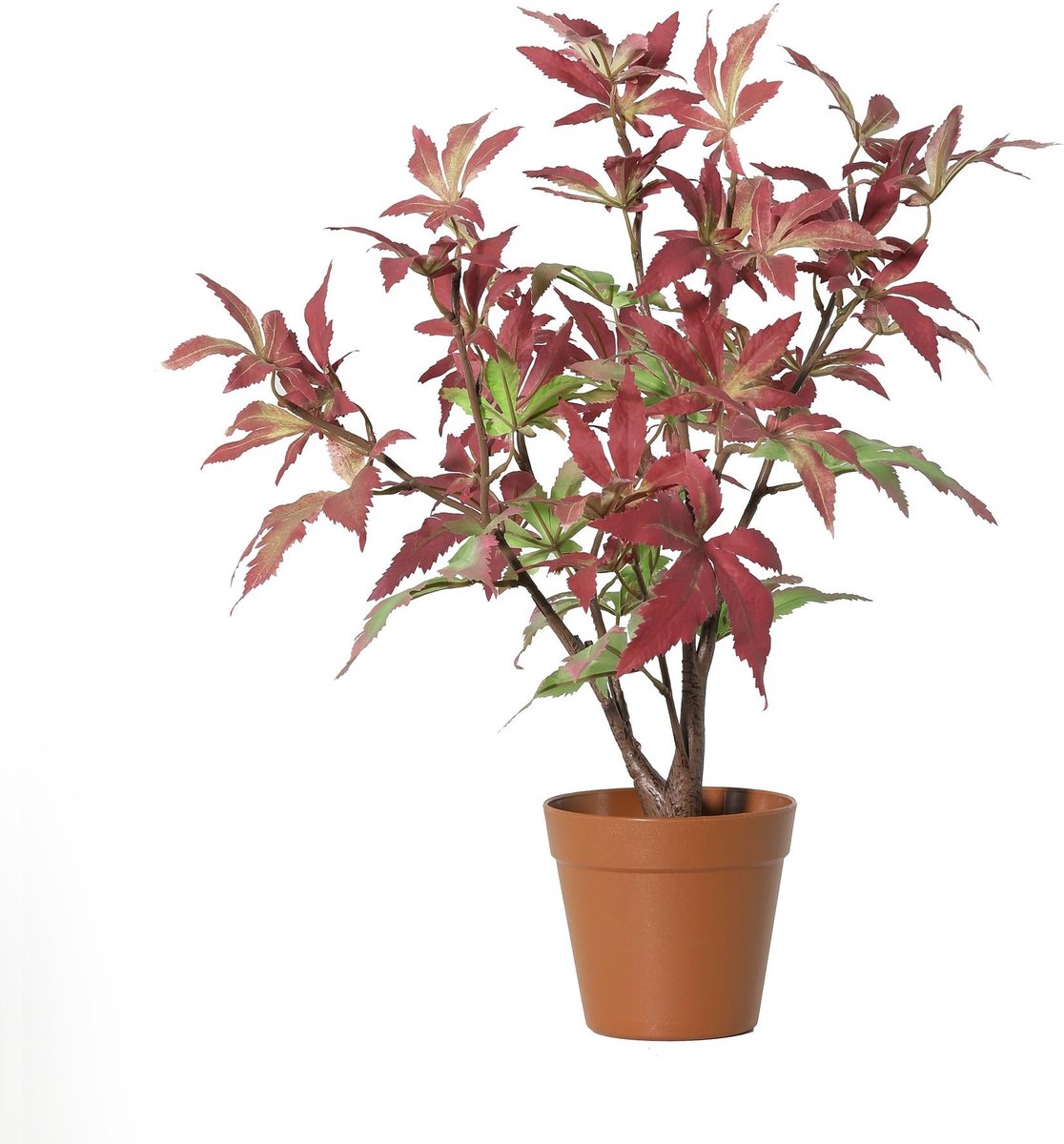 Florafy Kunstplant Esdoorn 53cm - Kunstplanten voor binnen - Onderhoudsvrij Groen