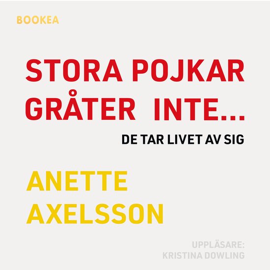 Stora pojkar gråter inte... de tar livet av sig - cover