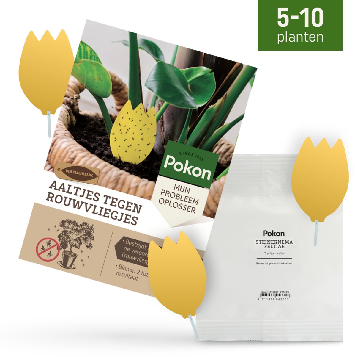 Pokon Rouwvliegjes Bestrijding Pakket - Aaltjes voor 5 tot 10 planten & 15 Bio Vangplaatjes - Tegen rouwvliegjes bij kamerplanten