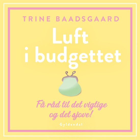 Luft i budgettet - cover