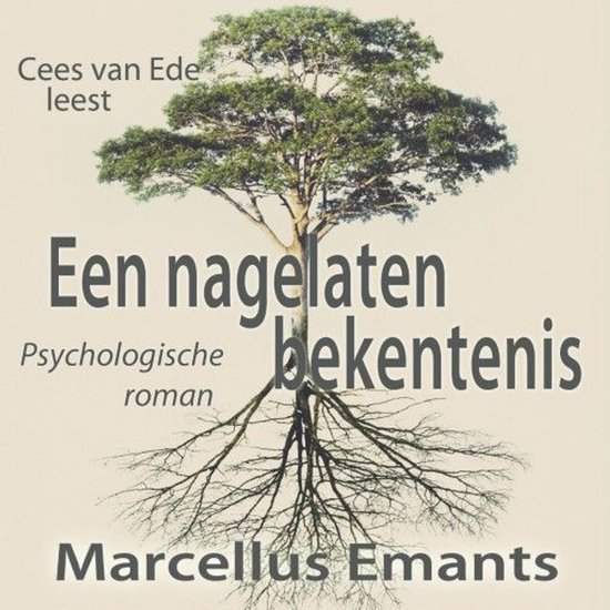 Een nagelaten bekentenis - cover