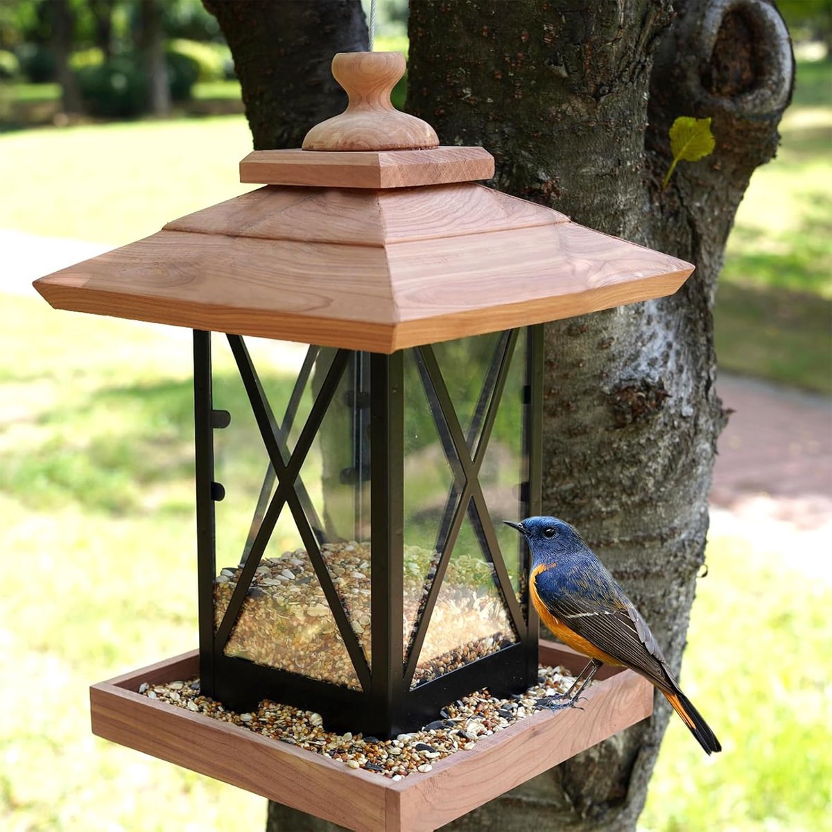 Vogelvoederhuisje Metaal - Buiten Voederstation - Tuin Decoratie - Robuust Frame Ontwerp - 23x23x33 cm - Zwart