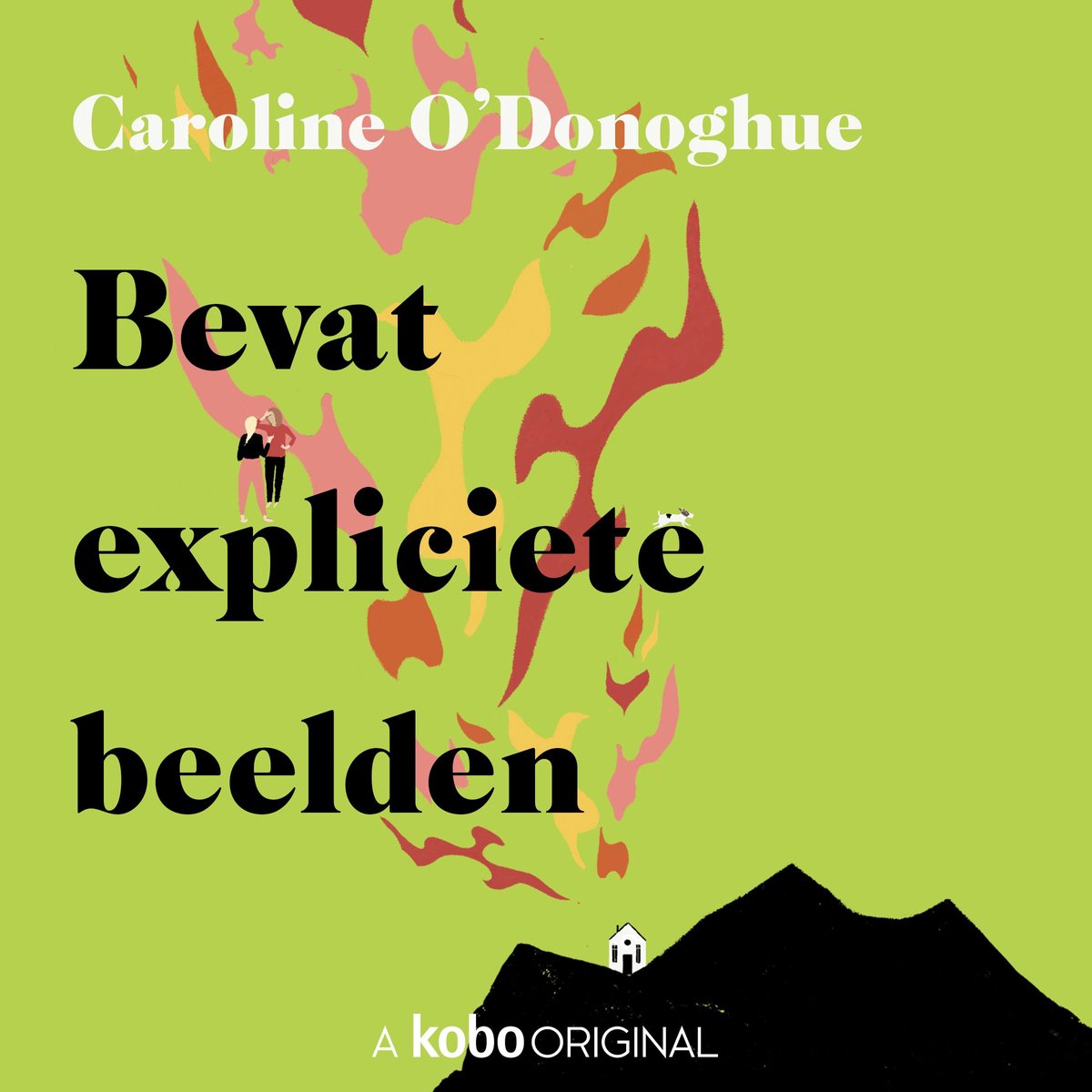 Omslag van Bevat expliciete beelden