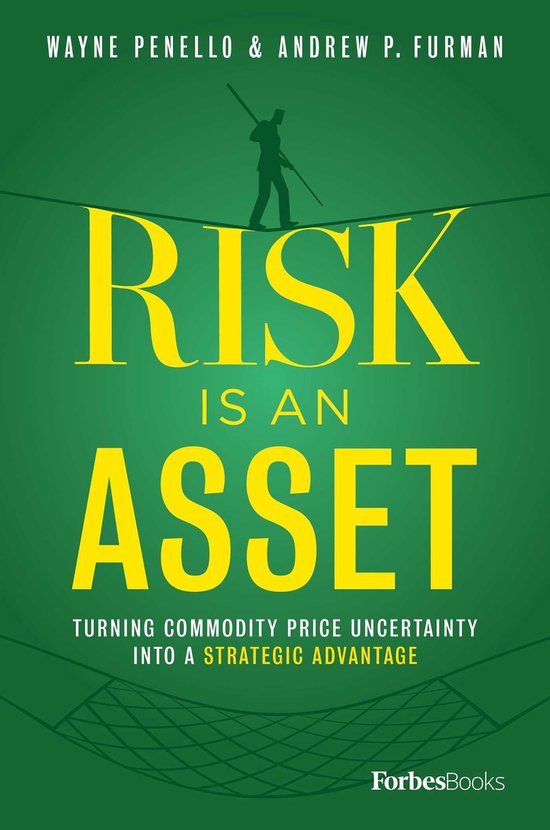 Risk Is An Asset - cover