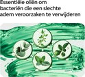 Afbeelding nummer  7